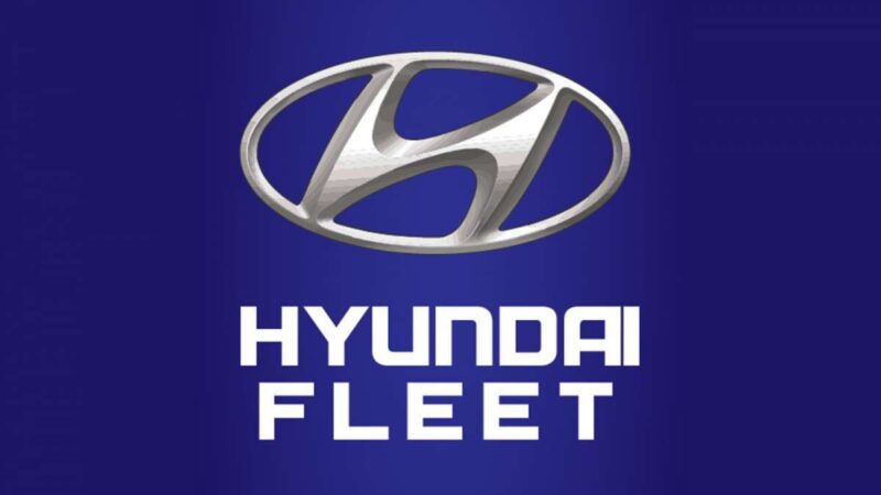 Hyundai Fleet