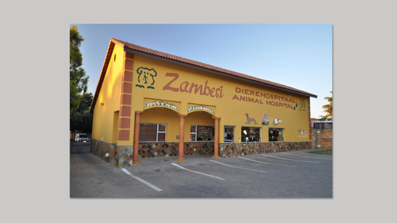 Zambesi Animal Hospital INC Zambesi Animal Hospital INC